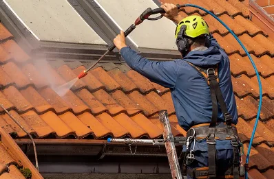 Démoussage et hydrofuge de toiture à Larzicourt